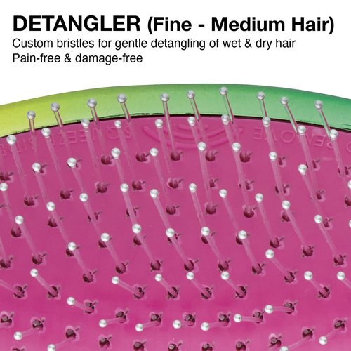 Olivia Garden Aurora Detangler Brush - Effortlessly Detangles Wet & Dry Fine to Medium Hair - Rainbow Color