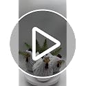 Ivory Resin Chicken Fence Decor Statues Set of 3 Outdoor Garden Sculptures