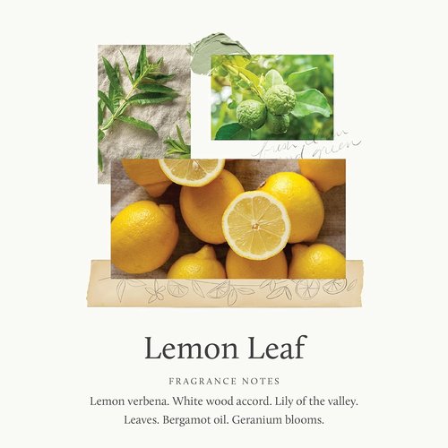 Thymes Hand Wash - Refreshing Lemon Leaf Scent - 15 Fl Oz | Gentle & Nourishing Formula
