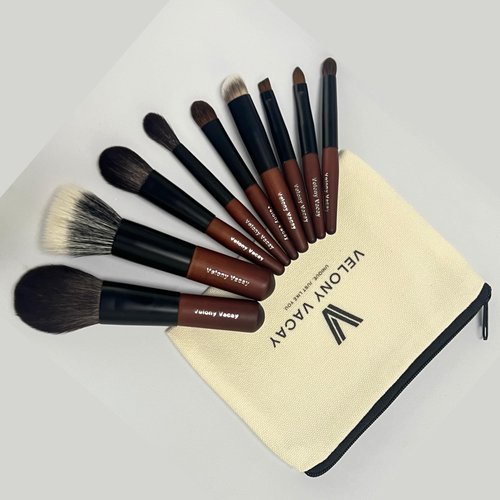 Mini Makeup Brush Set, 9 Full Face Mini Travel Make Up Brushes Set, Synthetic & Natural Hair Makeup Brushes For Blush, Eyeshadow, Conceal, Eyebrow Brush, with a compact Brush Case