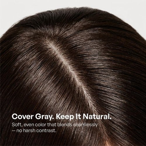 Skiennix Professional Hair Dye - 100% Gray Coverage Plant Extract Formula | Hypoallergenic | 4N Velvet Espresso