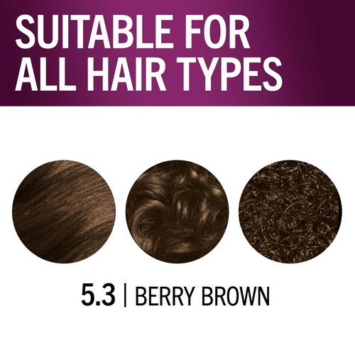 Schwarzkopf Keratin Hair Dye Cream - 5.3 Berry Brown | Professional Gray Coverage & Bond Strengthening