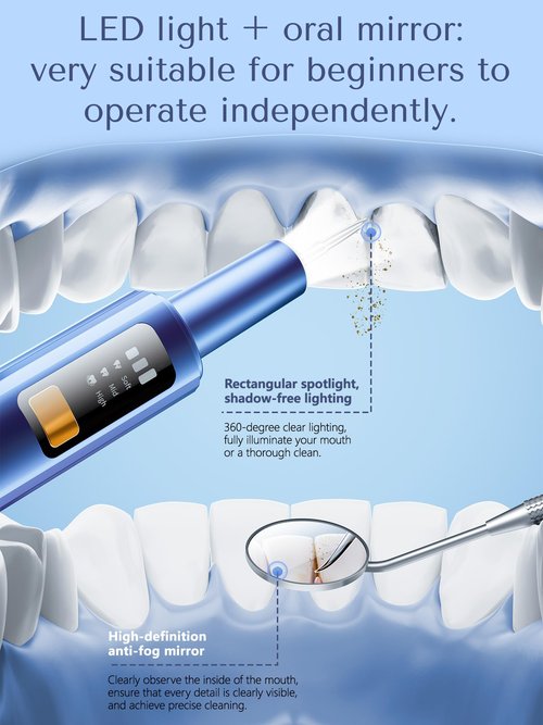 Plaque Remover for Teeth, Dental Tools, Teeth Cleaning Tools with 4 Replaceable Heads, 6-in-1 Dental Pick, LED Light, Waterproof, Rechargeable for Home & Travel Use