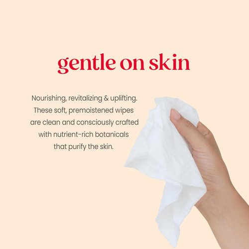 Burt's Bees Face Wipes - Hydrating Makeup Remover for All Skin Types | 30 Ct. (3-Pack)