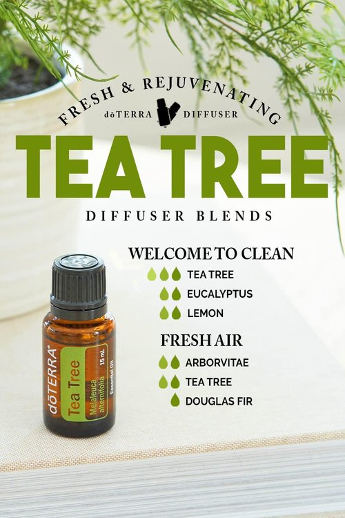 doTERRA Melaleuca Essential Oil - 15 ml | Therapeutic Grade, 2 Pack for Natural Wellness
