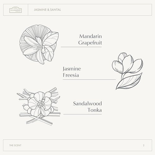 A LA MAISON Whipped Body Butter - Jasmine & Santal - Ultra-Rich Shea Moisturizer for Dry Skin - 6.7 oz