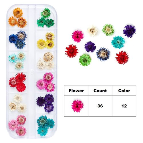 iFancer Dried Flowers for Resin Craft Nail Art Mix Small Mini Dry Flowers (Pack of 6 Boxes, About 260 PCS)