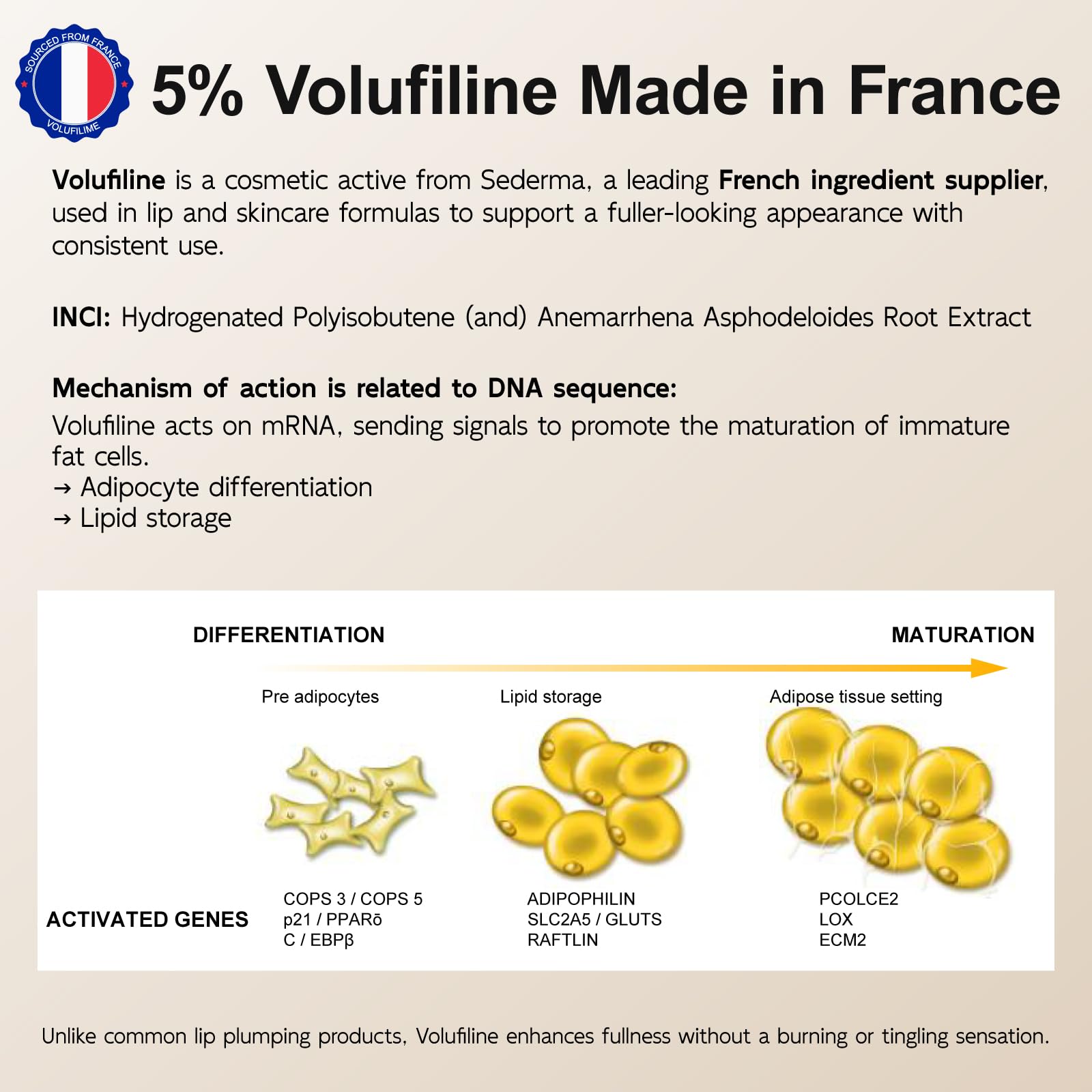 YouthVibe 5% Volufiline Lip Plumper, Nourishing & Anti Aging Over Time with Squalane, Shea Butter, Collagen, Peptide & PDRN - No Burning, No Tingling for Gentle Daily Plumping