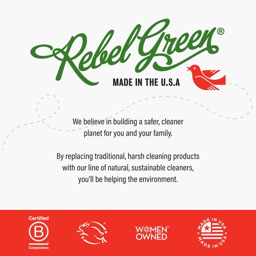 Rebel Green Fresh & Clean Hand Soap - Natural Liquid Hand Soap for Bathroom & Kitchen - Unscented, 12 Fl oz, Pack of 2