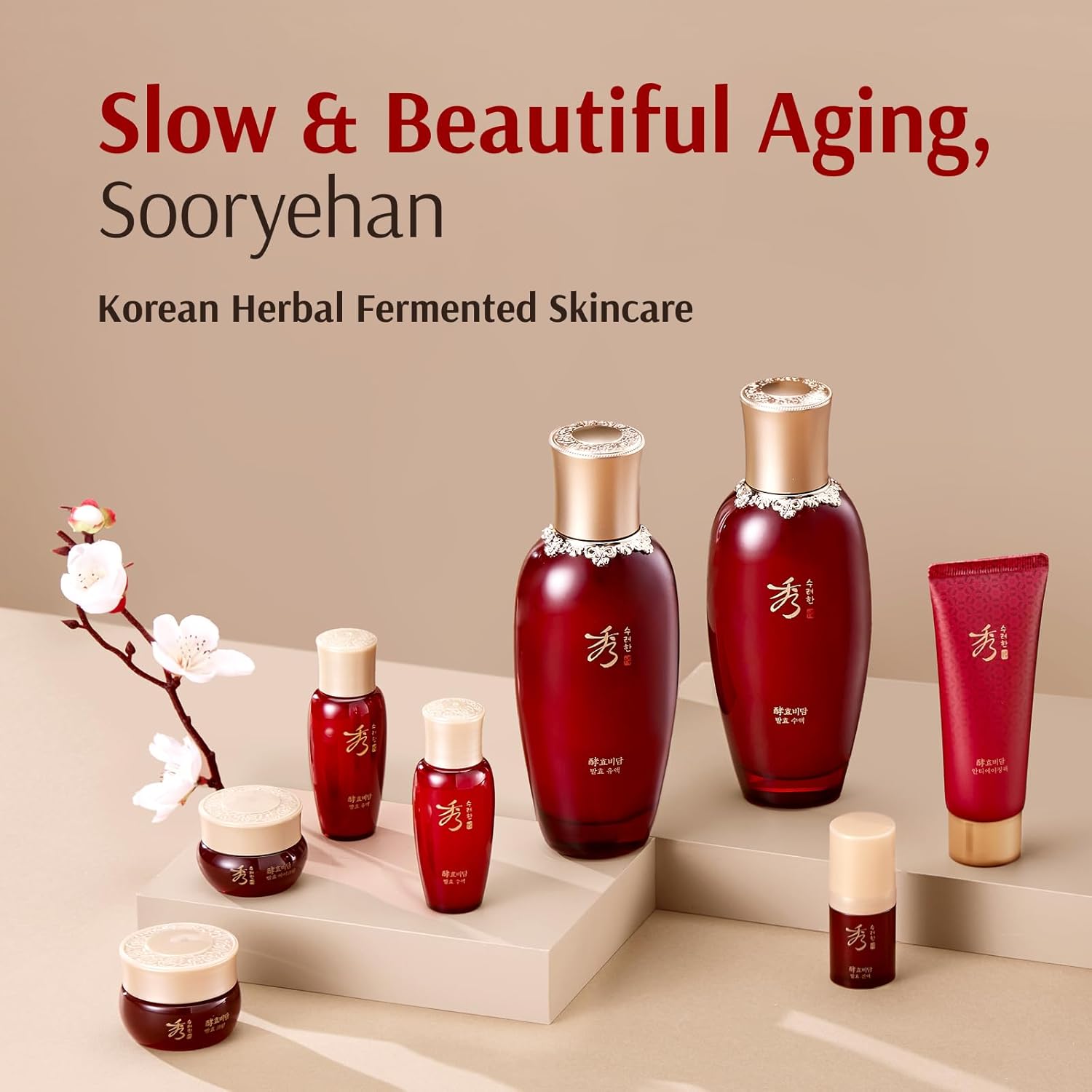 Sooryehan Hyobidam Fermented Skincare Gift Set - Premium Korean Anti-Aging Kit with Wild Ginseng, 13.53 fl oz