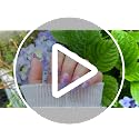 Purple Flower Semi Cured Gel Nail Stickers - Gradient Nail Art Wraps