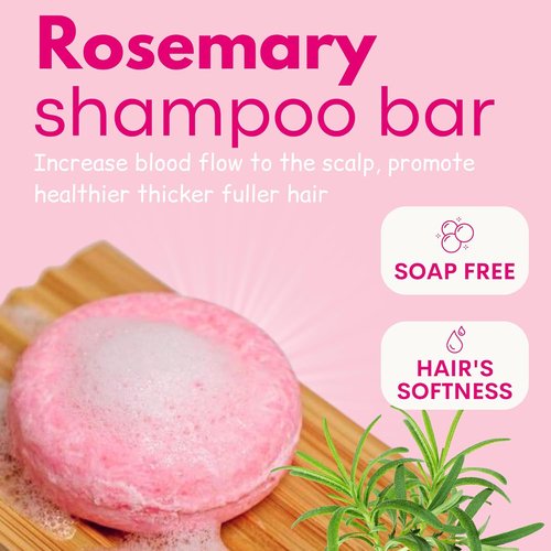 Skiennix Ginger Rosemary & Rice Water Shampoo Bar Pack of 3 - Strengthen & Volumize Hair, pH Balanced, Sulfate-Free