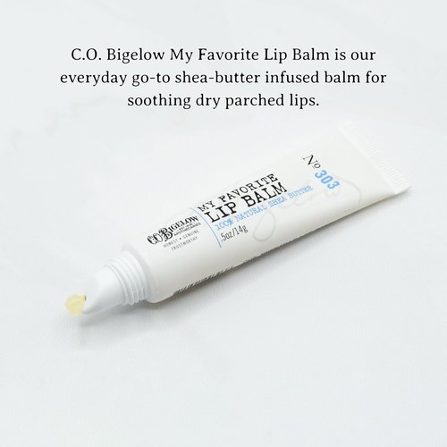 C.O. Bigelow Lip Balm Tubes - Moisturizing Shea Butter & Jojoba Oil | Pack of 3, 0.5 oz