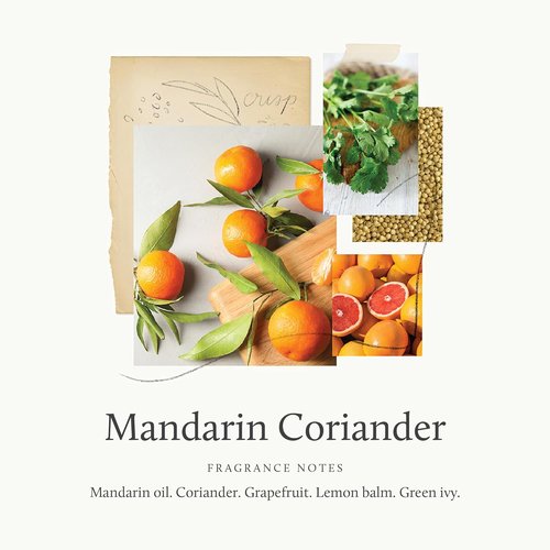 Thymes Hand Wash - Mandarin Coriander Scent - 15 Fl Oz for Luxurious Cleanliness