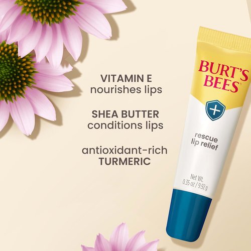 Burt's Bees Lip Relief Balm - 100% Natural Shea Butter & Echinacea - 0.35 Ounces