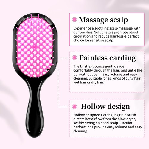 Skiennix Detangling Brush Set - Gentle & Effective for Wet or Dry Hair Types | Ultra-Light & Ventilated (Pink, Purple, Green, Black)