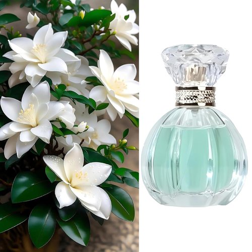 Fresh Floral Perfume for Women - Light & Sweet Everyday Fragrance | 1.7oz/50ml Eau de Parfum Spray (Gardenia)