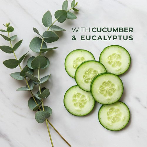 Pueblo Remedy Body Wash - Soothing Cucumber & Eucalyptus Shower Gel | Vegan & Cruelty-Free, 16.9 Oz