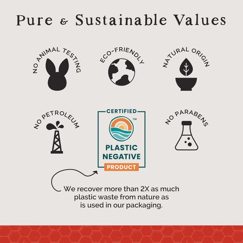 Natural Lip Balm – Variety Pack - Organic & Natural Ingredients - Beeswax Based Lip Care Chapstick - Great Gift - Farm & Bee - 0.15oz (Pack of 4 - Vanilla Bean/Peppermint/Strawberry/Cherry)