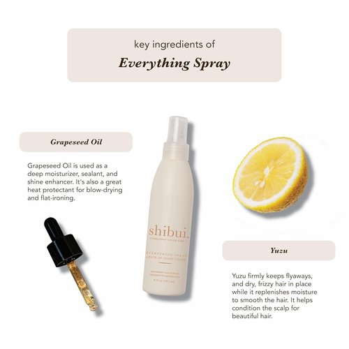 Shibui Everything Spray - Color Protecting Leave-In Treatment for Fine to Medium Hair | Vegan & Sulfate-Free, 8 Fl Oz