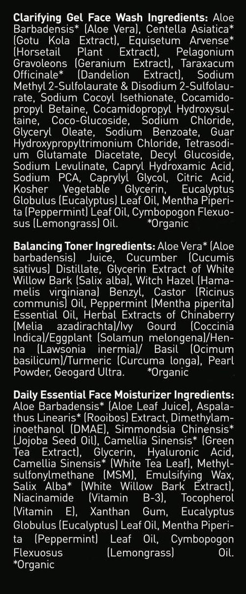 Brickell Men's Daily Face Cleanse - Oily Skin Gel Wash, Alcohol-Free Toner & Moisturizer | Natural & Organic
