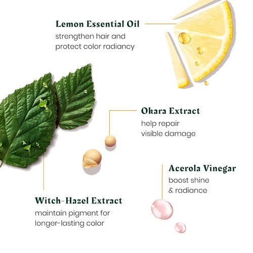 René Furterer Color Glow Thermal-Protecting Glow Cream - Amino Acids & Lemon Oil | 3.3 Fl Oz