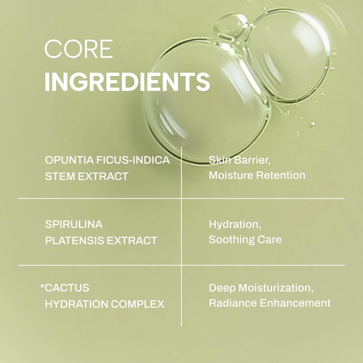 Whamisa Organic Cactus Bouncy Serum - 48H Inner Skin Moisture & 72H Hydration | Korean Facial Ampoule (52ml)