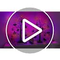 Indoor Halloween 2 Pack Black Tree with Orange & Purple LED Lights - Spooky Home Decor