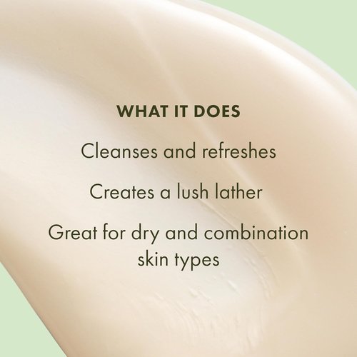 Origins A Perfect World Antioxidant Cleanser - Hydrating Formula for Dry & Combination Skin | 5 Fl Oz