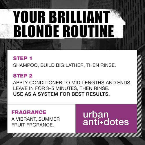 TIGI Bed Head Dumb Blonde Shampoo - Nourishing Formula for Blondes | 25.36 Fl Oz