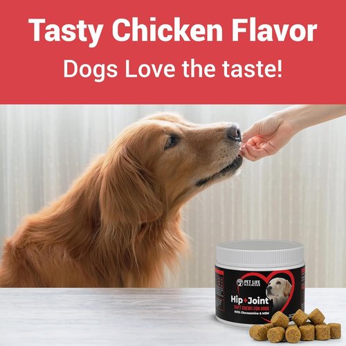3-in-1 Advanced Dog Hip & Joint Supplement - Tasty Glucosamine Chews for All Breeds & Seniors - Chicken Flavor