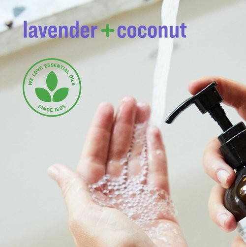 Everyone Liquid Hand Soap - Lavender & Coconut | Plant-Based Cleanser, 12.75 Ounce (Pack of 3)