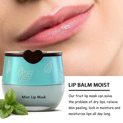 8PCS Bee Lip Balm Pot, Fruit Moisturizing Propolis Lip Mask, Lip Mask Overnight Moisturizing Lip Balm Hydrating Prevention Dry and Crack Lip Scrubs Exfoliator Lip Wrinkle Care Products (SET B)