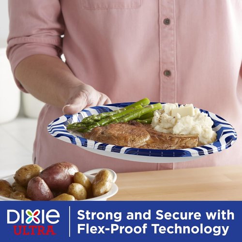 Dixie Ultra Large Paper Plates - Heavy Duty, Microwave-Safe, Soak-Proof | 10 Inch, 172 Count