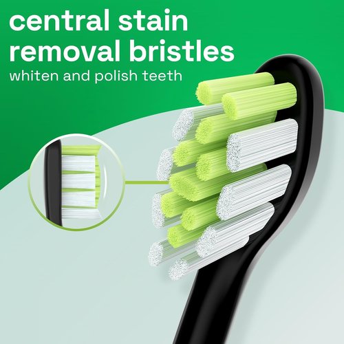 Brushmo Whitening Toothbrush Heads - Compatible with Philips Sonicare DiamondClean HX6062/65 | 8 Pack, Black