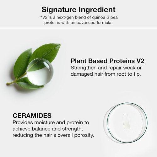 GK HAIR Color Cream 10.0 Lightest Platinum Blonde - 100% Grey Coverage | Semi, Demi, Permanent | Salon Quality Hair Dye - 3.4 Oz