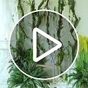 78.9-Inch Faux Tree Trunk Garland with Moss and Leaves for Halloween & Forest Decor