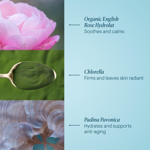 ELEMIS Pro-Collagen Rose Marine Cream - Anti-Aging Hydration for Youthful Skin | 1.6 oz