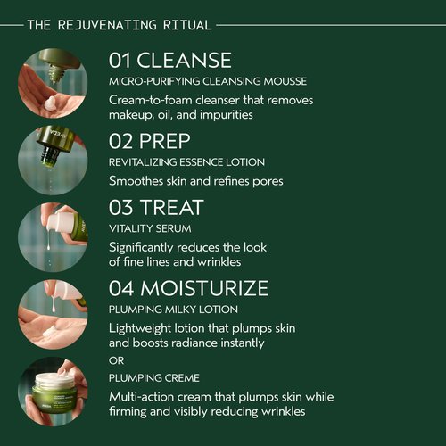 Aveda Advanced Botanical Kinetics Micro-Purifying Cleansing Mousse | Removes makeup, excess oil, and impurities | Vegan | Full Size | 5 Fl Oz