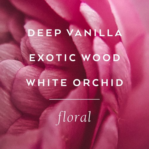 TOKYOMILK Dead Sexy Handcreme, 2.3 oz. - Deep Vanilla, Exotic Wood, White Orchid & Ebony – Romantic & Ethereal, Shea Butter & Cocoa Butter, Hand Moisturizer, Scented Hand Cream, Lotion for Women