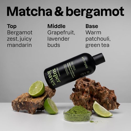 ATTITUDE 2-in-1 Fortifying Shampoo & Conditioner for Men - 415 mL | Nourishing Formula