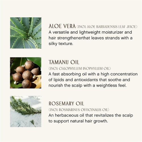 Innersense Organic Beauty - Natural Sweet Spirit Leave-In Conditioner | Non-Toxic, Cruelty-Free (10 fl oz)