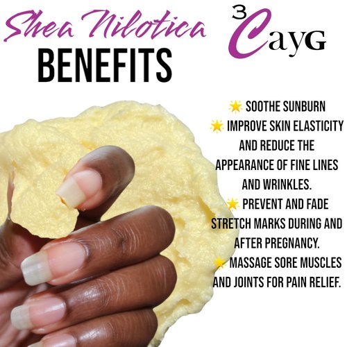 3CAYG Shea Nilotica | Cold Pressed and Unrefined | East African Shea Butter 5LB Pail