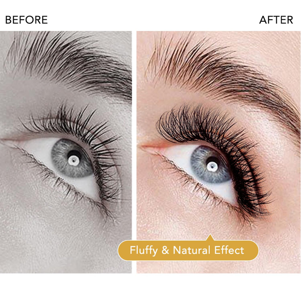 W Eyelash Extensions C Curl 0.07mm 8-15mm Mix Tray W Shaped 5D Volume Premade Fan Lashes Matte Black Cluster Easy Fans Lashes Professional Use YY Lash