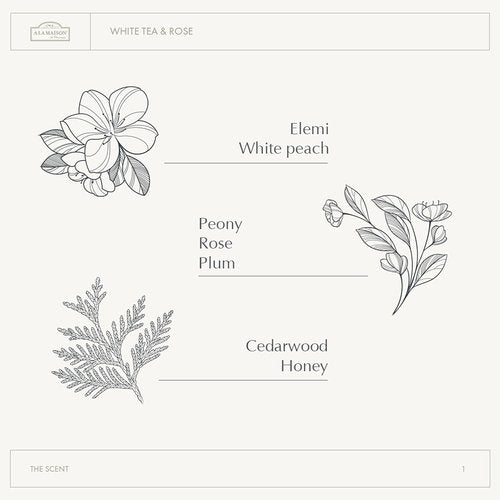 A LA MAISON Epsom Salt Bath Soak - White Tea & Rose for Muscle Relief - 20 oz Relaxing Bath Salt