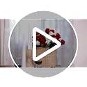 Black Artificial Roses Bulk 60 Long-Stem Silk Flowers for Decoration