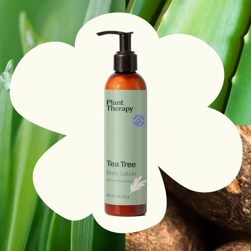 Plant Therapy Tea Tree Body Lotion - Hydrate & Nourish Skin with Aloe & Shea | 8 oz