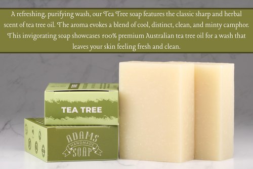 Adams Handmade Soap Tea Tree Pure Castile Bar Soap – 4.5 oz | Vegan, Cold Process, Essential Oils, 84% Organic, Fair Trade, No Additives, USA Made