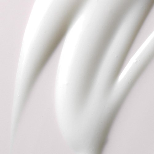 Kristin Ess Ultra Hydrating Curl Leave-In Cream - Frizz Control for Curly Hair, 8.45 fl oz