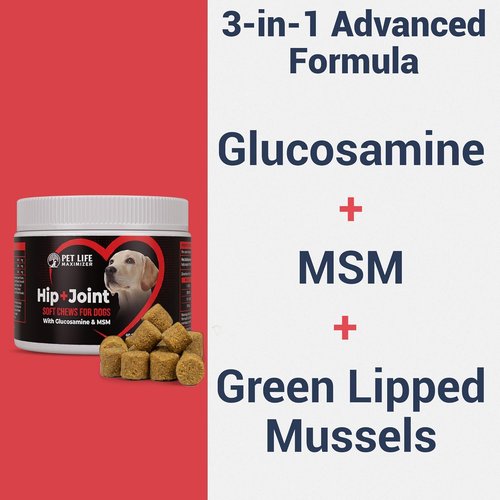 3-in-1 Advanced Dog Hip & Joint Supplement - Tasty Glucosamine Chews for All Breeds & Seniors - Chicken Flavor